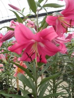 [1734 Robina No01.JPG]